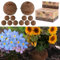 Saatbomben 12er Set │2fach sortiert Ton Erde Saatgut │ Wildblumen Sonnenblumen Blumensamen Saatgut