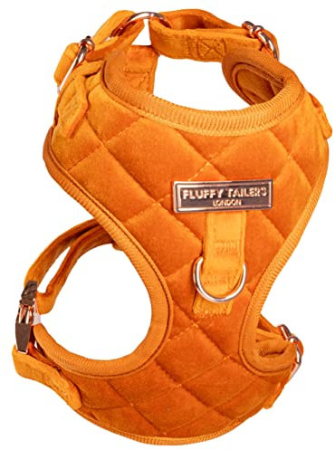 Fluffy Tailers Orange Velvet Adjustable Dog & Puppy Harness With Chest Strap for Small, Medium & Teacup Sized Dogs - Comfortable, Stylish & Safe (Medium)