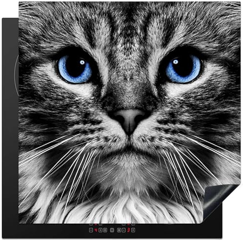 KitchenYeah© Protège Plaque Induction 78x78 cm Deco Cuisine Accessoire Pratique Protection De Vitroceramique Kitchen Gadget Chat - Noir - Blanc - Yeux - Bleu