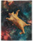 YISUMEI Kuscheldecke Weiche Warme Flauschige Fleece Decke mit Tiermotiv, Galaxie-Katze, 135 x 200 cm