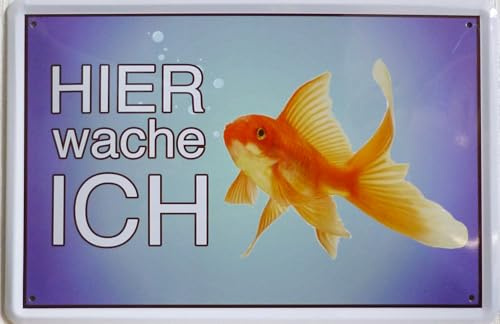 Blechschild Schild 20x30cm - Hier wache ich Goldfisch Fisch Aquarium Glas Haustier