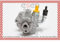 Original NM-Germany Hydraulikpumpe Lenkung Servolenkungspumpe Servopumpe - Neu - 10SKV182