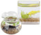 Agatige 2 Stück Puppenhaus-Aquarium, Maßstab 1:12, Simulation Miniatur-Goldfisch, Fischschale, Puppenhaus-Zubehör für Gartenszenen-Dekoration (rund und quadratisch)