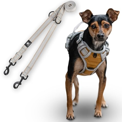 Dog & Dress Hundegeschirr & Hundeleine Set – Verstellbares, Gepolstertes & Reflektierendes Geschirr für Hunde – Atmungsaktives Hundezubehör für große & mittelgroße Hunde – Gold - M 59-76cm Brustumfang