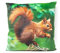 Cornelißen Stoffkissen - Eichhörnchen - 35x35