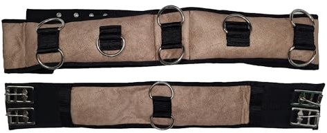 Brama West Longiergurt Pferd | 14 Ringe gepolstert verstellbar Neopren | für Longieren & Doppellonge (Cob)