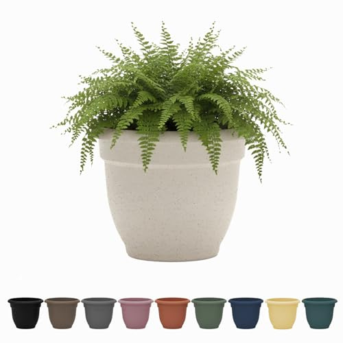 Bloem Ariana 12 Vanilla Bean Round Self-Watering Resin Planter Pot - Rolled Rim Indoor and Outdoor Gardening Planter