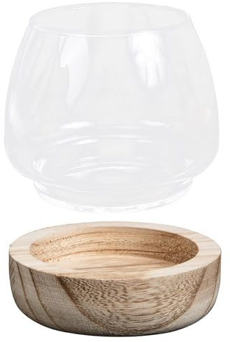 Kichvoe Vase Décoratif en Verre Transparent Petit Format Support en Bois, Pot Hydroponique pour Micro-Paysage, Culture de Plantes Succulentes, Décoration Intérieure Maison et Bureau