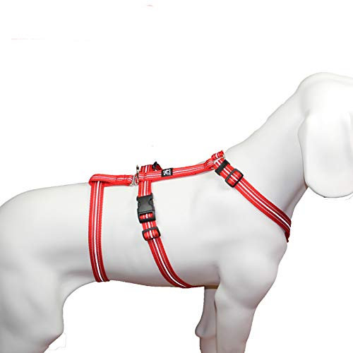 Hoffmann Das Original - NoExit Hundegeschirr ® - 100% ausbruchsicher für Angsthunde, Sicherheitsgeschirr für Pflegehunde, Panikgeschirr, Reflexband rot, Bauchumfang 75-100 cm, 25 mm Bandbreite