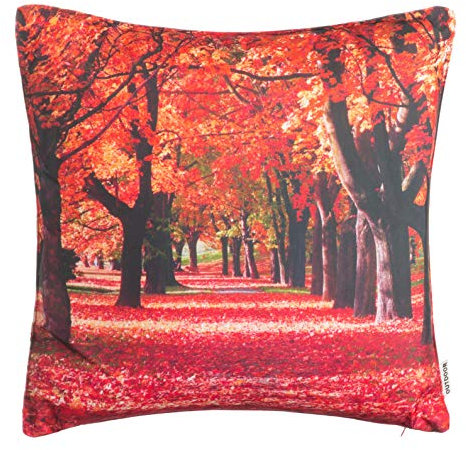 Brandsseller Outdoor Garten Kissen Dekokissen Motivkissen Herbst Schmutz und Wasserabweisend mit Reißverschluss ca. 45 x 45 cm - Motiv 5