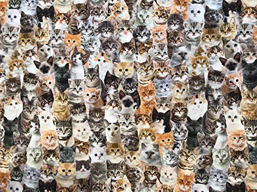 Stoffeldorado - Meterware Dekostoff, Digital-Druck Katzen Welpen, 140 cm Breite