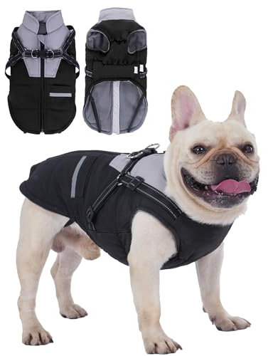 Hundemantel Winter Wasserdicht Hundejacke: Hundemantel mit Geschirr für Kleine Mittlere und Große Hunde