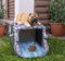 Euiroet Lustige Hundestatue, Dachrinne, Fallrohrverlängerung, Dekoration, Gartenskulptur, Dekoration, Fallrohr-Umlenker, perfekter Regenumlenker für 7,6 x 10,2 cm Fallrohre, umweltfreundliches Harz,