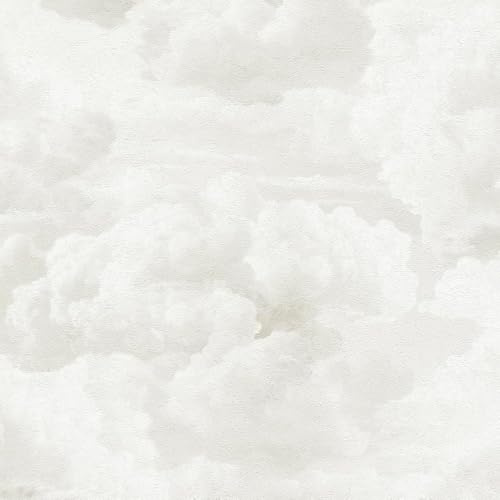 White Metropolis Painted Cloud Wallpaper Textured Paste The Wall Vinyl