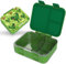 Jarlson® Brotdose Kinder mit Fächern MILI | Lunchbox BPA frei | Bento Box auslaufsicher | Snackbox | Jausenbox für Kindergarten und Schule |1000 ml - Leichtgewicht (Dinosaurier Grün V2)