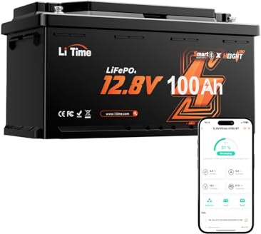 LiTime Batteria LiFePO4 12V 100Ah H190 con Bluetooth per Camper (DIN H8 L5) | Max 15000 Cicli, 1280Wh, BMS 100 A, Leggera e Compatta, IP65, Batteria Litio 12V per Furgone Camperizzato, Caravan, Barche