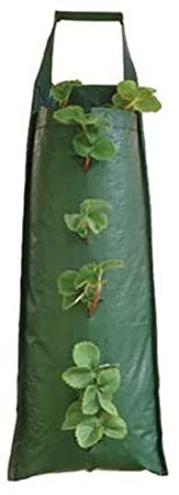 Lecerrot Multi Port PE Pflanzen Tasche, Erdbeere Pflanzsack, Hängend Erdbeeren Pflanztaschen, Garten Gemüse Zuchtbeutel, Hängend Erdbeeren Pflanztaschen, Für Erdbeeren, Kräuter, Blumen