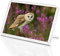 Pretty Barn Owl Classic Fridge Magnet - Bird Prey British Wildlife Gift #15813