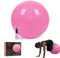 Phoenix Fitness Exercise Ball - Gym Ball for Yoga, Fitness, Pregnancy with Hand Pump - Anti-Burst Swiss Ball for Core, Balance & Stability - Pink, 65cm