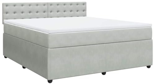 vidaXL Boxspringbett mit Matratze Hellgrau 180x200 cm Samt