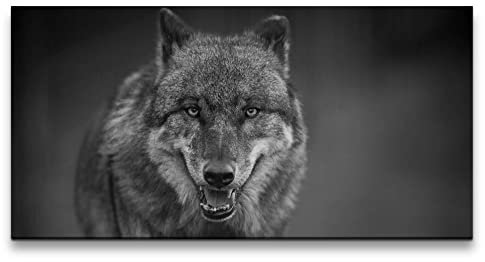 Paul Sinus Leinwandbild 120x60cm Grauer Wolf Alpha Tier Schwarz Weiß Wild Wildnis