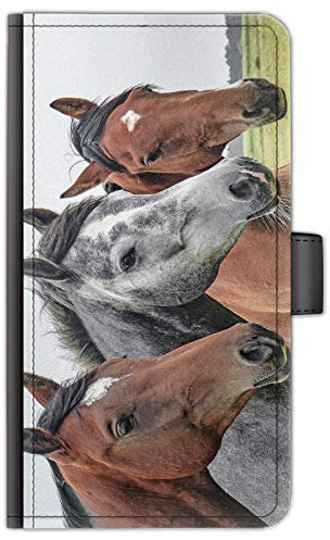 Horse Phone Case For Apple iPhones, 16, 15, 14,13, 12, 11, Pro Max, Mini, XR, XS, SE, PU Leather Phone Case with 3 Ponies, Horses, Side Flip Wallet Phone Cover