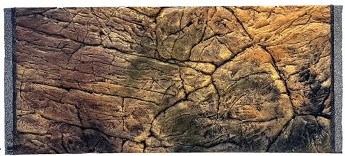 WYSKONT Aquarium Rückwand Rodos - Strukturrückwand - Aquarium Hintergrund - Aquarium Zubehoer - Hintergrund - Aquarium Deko - 77x36 cm - braune Farbe - Aquarium Groß