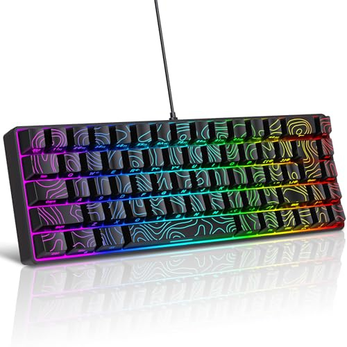Snpurdiri 65% Wired Small Gaming Keyboard RGB 68-Key (Black) | Mini Gaming Keyboard Backlit Ultra-Compact , for PC/Mac Gamer, Typist, Travel, Easy to Carry on Business Trip