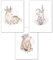Lemmami Papeterie 3er Set Wandbilder Kinderzimmer Babyzimmer Poster Bilder DIN A4 Mädchen Junge Boho Deko Dekoration Bär Reh Hase (3er Bilder Set Rosa, Pastell, Wanddeko)