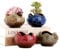 XUDREZ Ceramic Succulent Plant Pot Set of 4,Small Plant Pots Indoor with Tray,Mini Colourful Set Cactus Succulent Pots Home decorations Décor Style Five