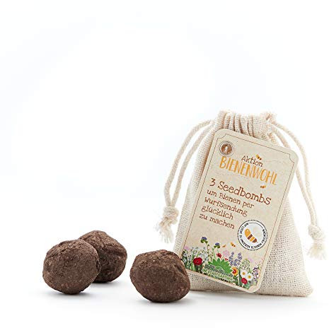 Die Stadtgärtner – Seedbombs „Bienenwohl“ I 3 handgemachte Samenbomben mit bienenfreundlichem Saatgut I 100% ökologisch & mindestens 2 Jahre haltbar