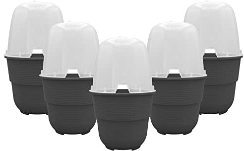 Plastard 5er-Set Anzuchthaube mit Blumentopf 16 cm Durchmesser Anthrazit runder Anzuchttopf Anzuchthilfe Mini Gewächshaus Pflanztöpfe für Kräuter und Gemüse Ideal für Wohnung Balkon und Garten