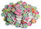 Opexicos 100 Stück 2 Löcher Holzknöpfe bunte Eule Nähen Knöpfe Scrapbooking DIY Zubehör