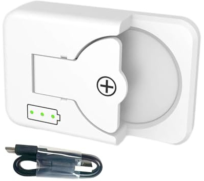 Typ C Lithium-Knopfzellen-Ladegerät mit LED für LIR2032 LIR1220 LIR1254 LIR1620 LIR2032 LIR2430 LIR2450 Überladung
