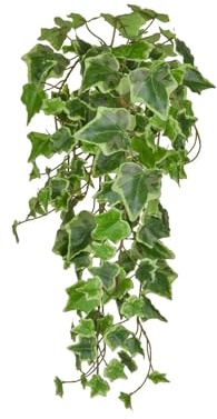 aplanta Künstlicher Hänge-Efeu - Markus | 55 cm, B1 Feuerhemmend, für drinnen, Kunstpflanze, wie echt, Allergiker geeignet, pflanzliche Dekoration Praxis, Office & Wohnzimmer