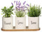 Dibor Indoor Herb Garden Set of 3 Window Box Herb Planters Summer Wedding Anniversary Gardening Gift (BP98)