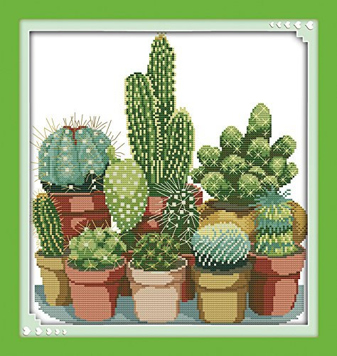 Kit de broderie estampillée au point de croix à faire soi-même : gamme complète de kits de démarrage pré-imprimés pour débutants - Catégorie cactus 43x45cm