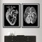 Yocheng Schwarz Weiß Menschliche Anatomie Poster Medizinische Wand Bild Herz Gehirn Skelett Leinwand Malerei Druck Krankenhaus Arzt Klinik Decor 21x30cmx2 Kein Rahmen