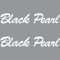 GreenIT 2 Aufkleber Tattoo 20cm Black Pearl Schriftzug Fahrzeug Auto Deko Folie die Cut Decals (weiß)
