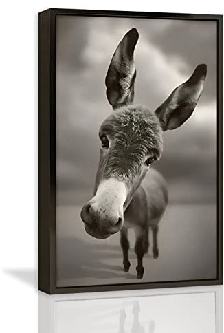 Leinwanddrucke Wandkunst für Zuhause und Büro, Wanddekoration, Schwarz-Weiß, Esel-Leinwand, Kunstdruck, Malerei, Bild, Tier, modern, abstrakt, schwarzer Aluminiumrahmen, Küche, 40.6x61 cm