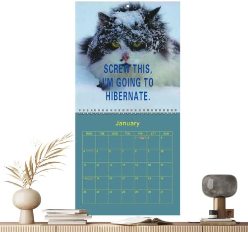 Calendrier Mural Chat 2027 En Colère 2027 Mensuel Décoratif