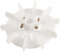 sourcing map Motor Fan Blade 170mmx28mm Round Shape Bore White Engineering Plastic 10 Vanes
