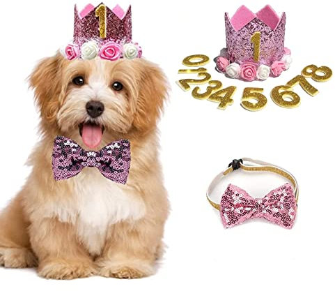 Geburtstagshut für Hunde, Katze, Hund, Geburtstagskrone, Hut und Fliege mit 0–9 Figuren, Charms, Partyzubehör für kleine, mittelgroße Welpen, Kätzchen, Blau (rosa)