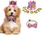 Geburtstagshut für Hunde, Katze, Hund, Geburtstagskrone, Hut und Fliege mit 0–9 Figuren, Charms, Partyzubehör für kleine, mittelgroße Welpen, Kätzchen, Blau (rosa)
