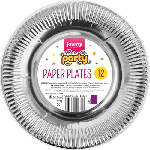 Silver Round Paper Plates Pack of 12 (9')