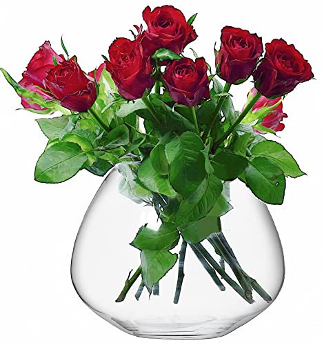 SOLAVIA Clear Glass Oval Flower Orchid Vase Planter H20cm D14cm Tank Vase Housewarming