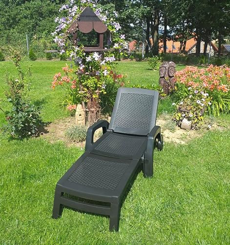 Dmora - Bain au Soleil Saturno, Bain au Soleil de Jardin réglable avec accoudoirs, Chaise Longue d'extérieur, 100% Made in Italy, 190x46h70 cm, Anthracite
