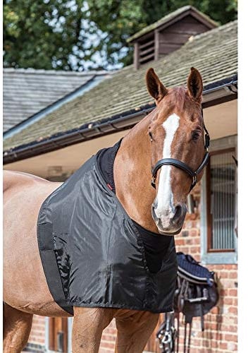 LeMieux Anti Rub Bib in Black with Elastic Belly Straps - Horse Wither Protection - Perfect Fit Chest Guard
