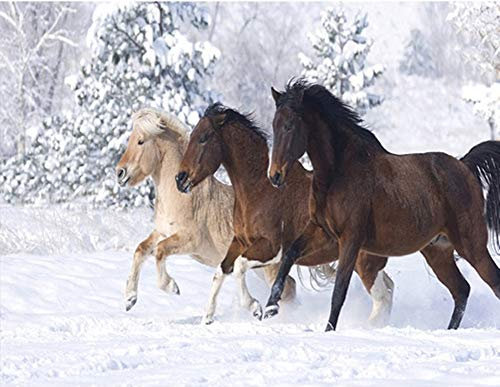 YEESAM ART Novedad pintura por números adultos niños caballos en la nieve montañas 40 x 50 cm lienzo lienzo DIY pintura al óleo regalo Navidad