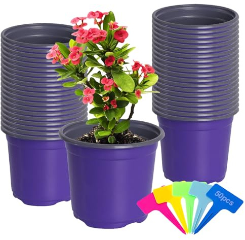 ANBET 50 Stück Violett Anzuchttöpfe Blumentopf, 12CM Klein Pflanztöpfe Plastik mit 50 Stück Pflanzenschilder für Pflanzen, Sämlinge, Transplantationen, Innen Außenbereich Pflanztöpfe Anzucht